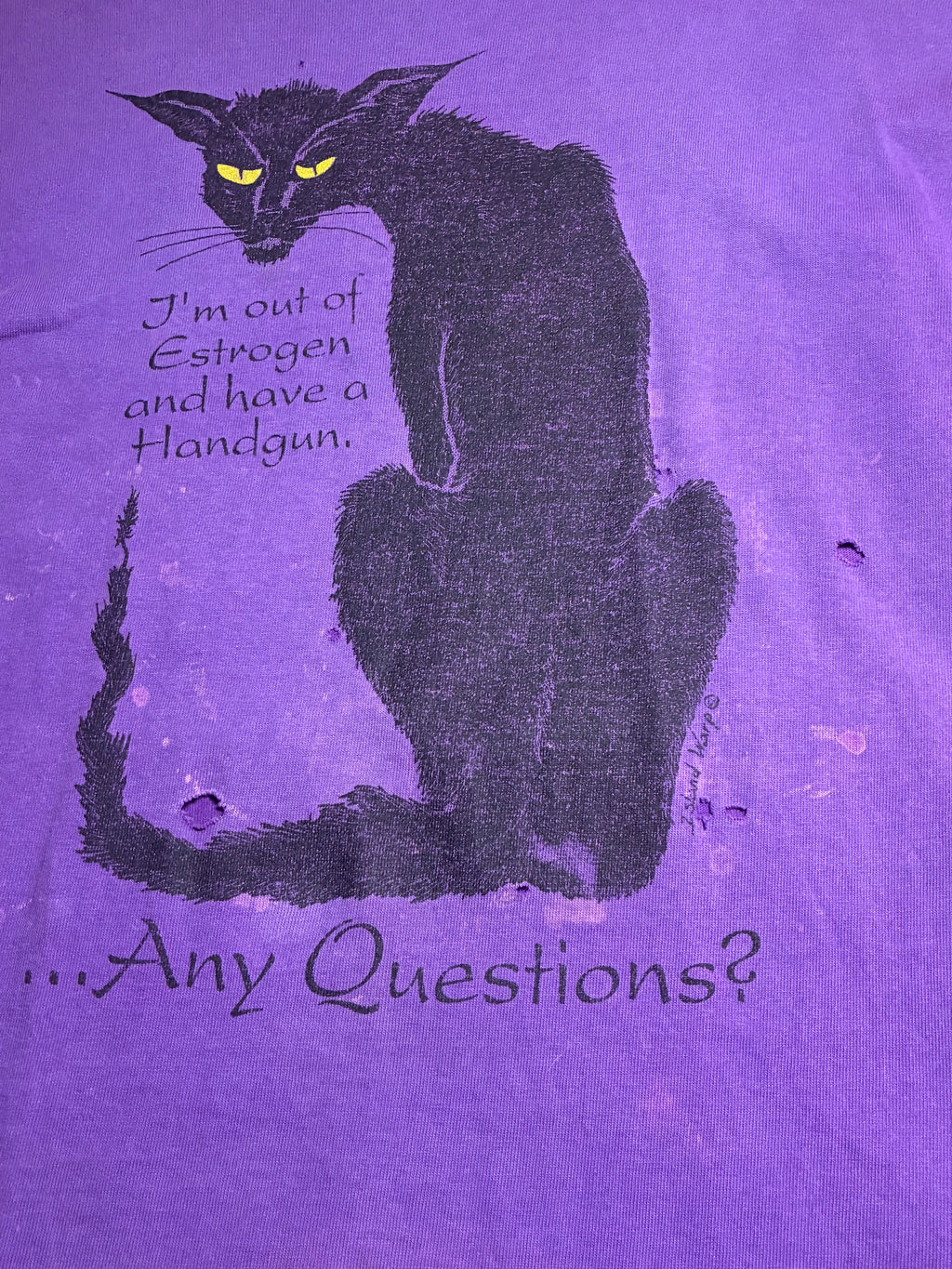 I'm Out of Estrogen and Have a Handgun...Any Questions T-Shirt